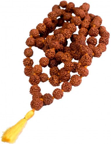 semente-má-Rudraksha-hippie-étnica-hippie