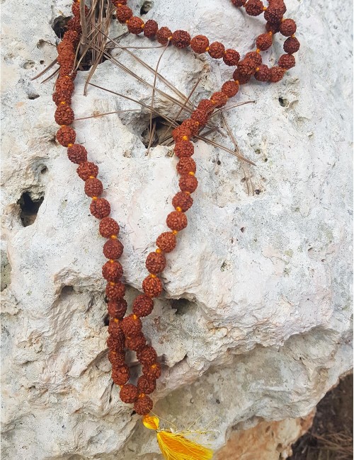 mala-rudraksha-semente-étnica-vegetal-colar