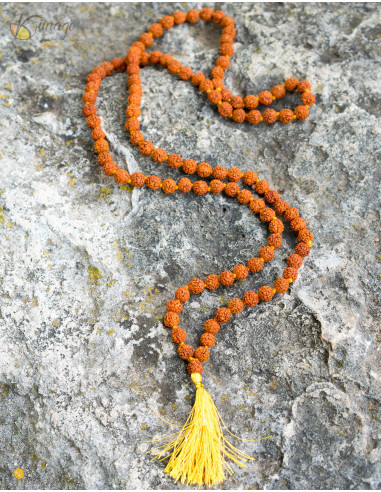 Graines Japa Mala Rudraksha