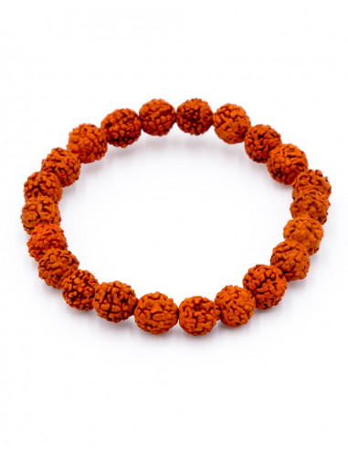 Braccialetto seme di Rudraksha