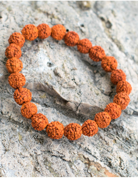 Bracelet Graine Rudraksha