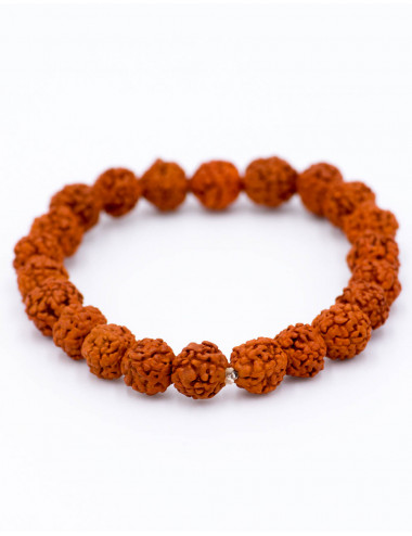 Braccialetto seme di Rudraksha