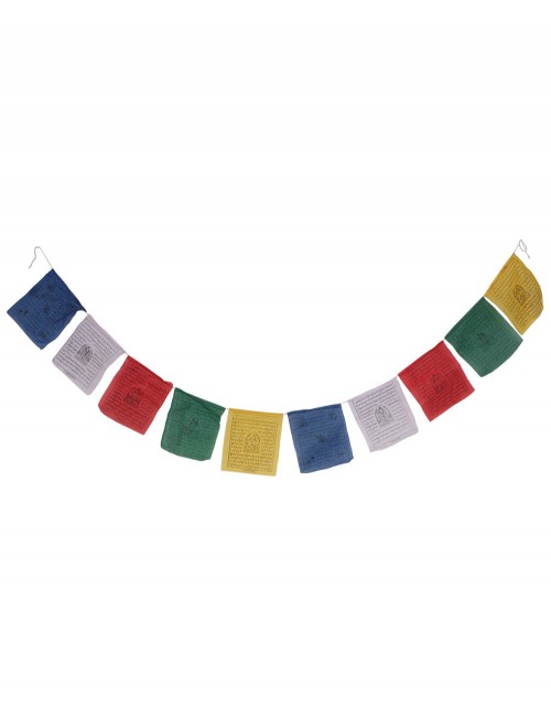 cavalo-hindu com cores-bandeira étnica