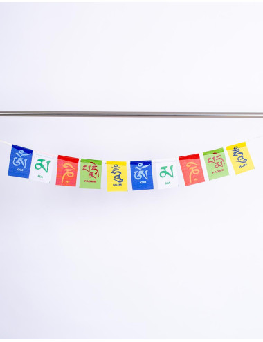 Small Mantra Om Pennants 2