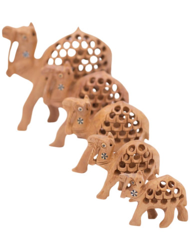 Conjunto de 5 camelos esculpidos em madeira -...